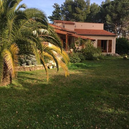 Les Alberes Bed & Breakfast Sorède Екстериор снимка